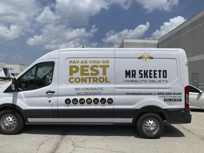 Vehicle Graphics Photo